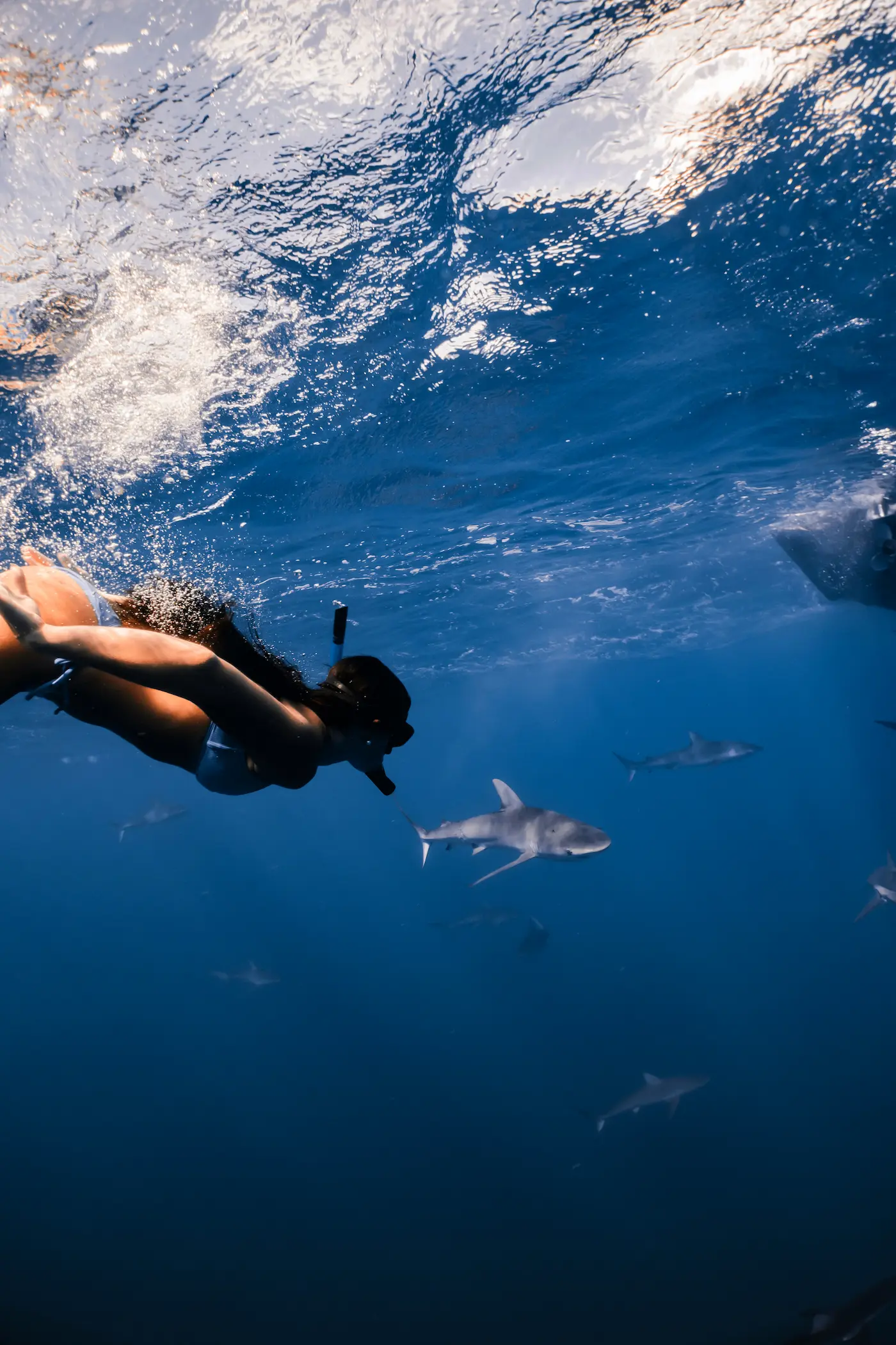 National Student Exchange: All You Need to Know